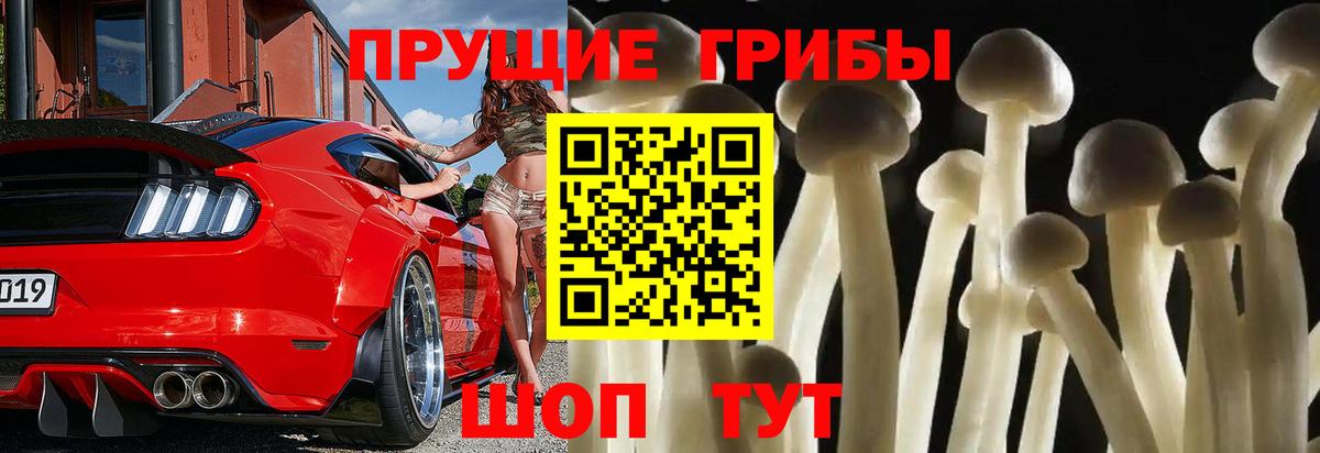 Красноярск  Псилоцибиновые грибы Magic Shrooms  Галлюциногенные грибы Cubensis  Вход с VPN 